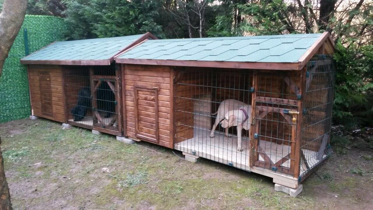 Kafesli Bölmeli Köpek Kulübesi